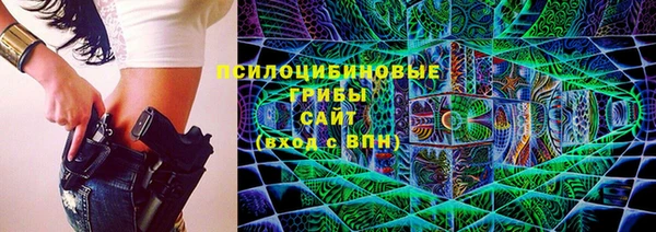 шишки Алзамай